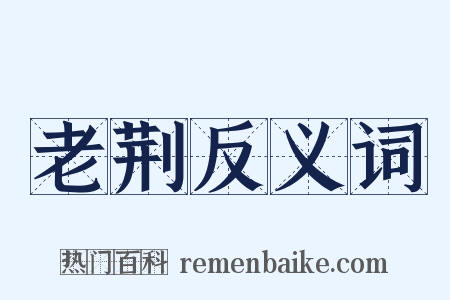 老荆反义词是什么意思的图片